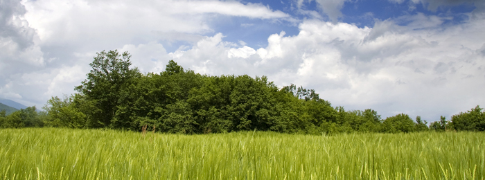 History of the Norfolk Broads on NorfolkBroads.com